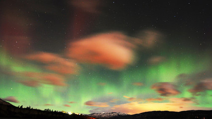 auroras