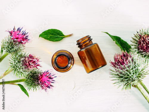 Cuadros en Lienzo burdock oil in small glass bottle and burdock flowers on white wooden table