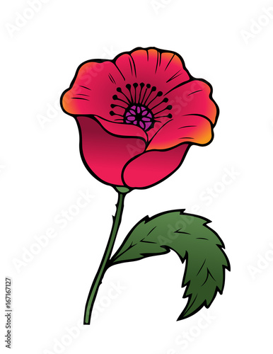 Cartoon Vector Illustration Of An Oriental Red Poppy Stock Vector Adobe Stock