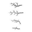 twig silhouette vector