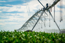 An Irrigation Pivot Watering A Field
