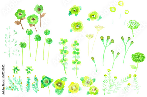 色々な草花 Various Flowers Adobe Stock でこのストックイラストを