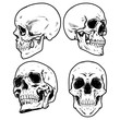 Skull Vector illustration, Collection Of Hand Drawn Skulls, Hard Core Skull Vector Art