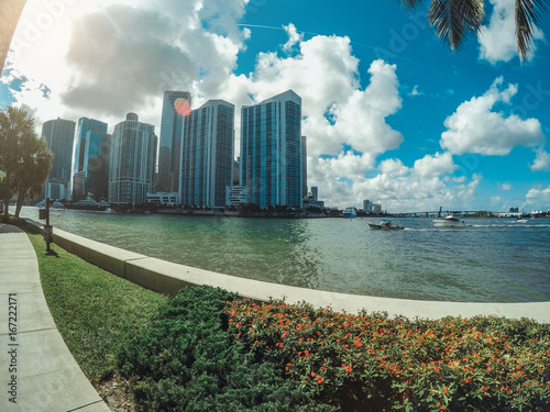Plakat Nabrzeże widok na Miami biznesowym śródmieściu przez drzewek palmowych