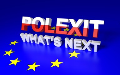Poster - Polexit. Whats next.