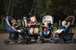 funny children sitting in strollers in park