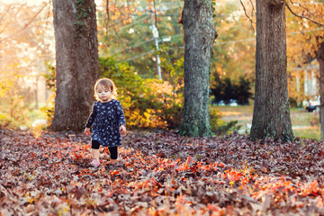 Wall Mural - Toddler girl playing in the leaves in autumn