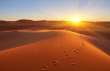 Beautiful Sand Dunes In The Desert