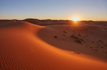  Beautiful sand dunes in the Sahara