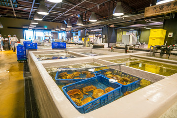 Taipei fish Market