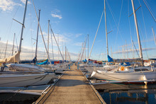 View Of A Marina In Trondheim
