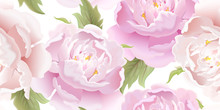 Seamless Floral Pattern With Peony.