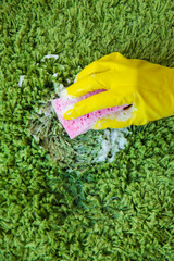 Wall Mural - Hand in rubber glove cleaning carpet with sponge