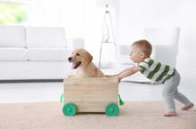 Cute Child And Labrador Retriever Playing With Wooden Toy Cart At Home