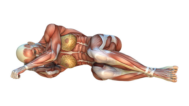 3D Rendering Muscle Maps