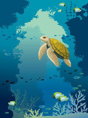 Wall Mural - Underwater cave, turtle, coral reef, fishes and sea.