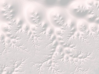  The white Plaster in the form of a Fractal