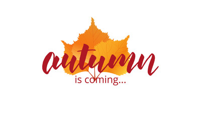 Wall Mural - autumn is coming. autumn lettering and fall leaves. template for banner, advertisement, sale etc.