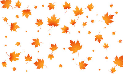 Wall Mural - Fall autumn leaves background. Flying maple leaves isolated. Vector autumn background