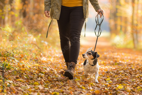 Fotografía Frau geht im Herbst mit Hund im Wald spazieren - Jack Russell Terrier 7 Jahre al