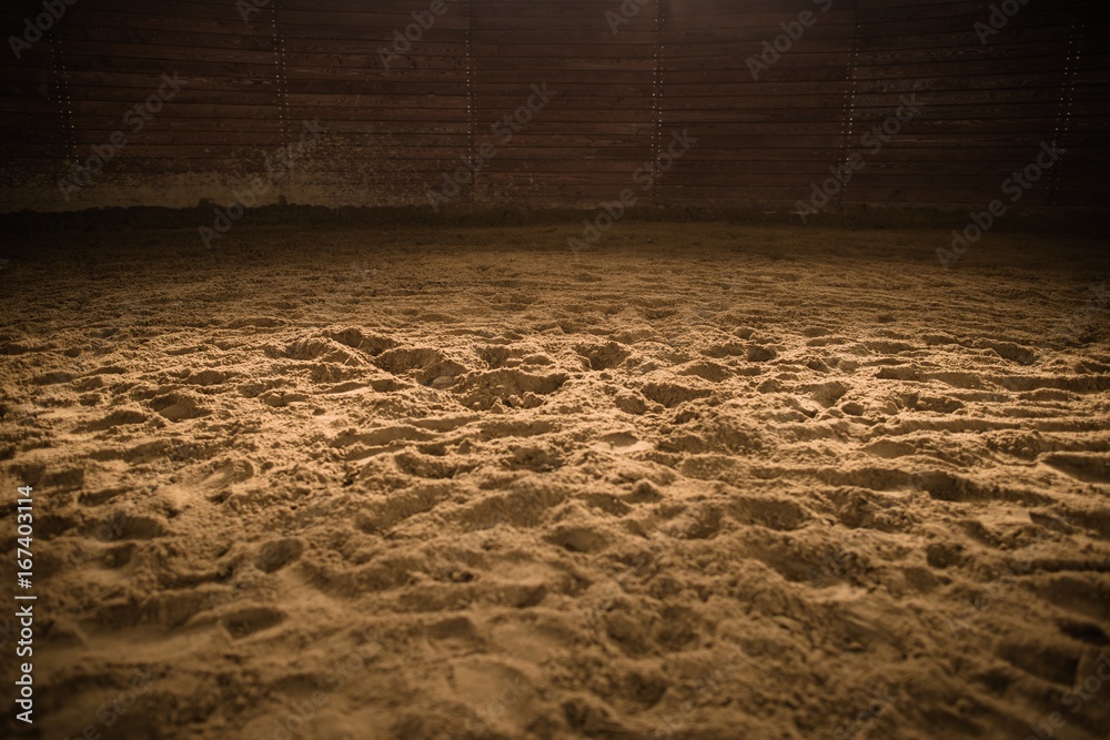 Sandy Horse Riding Arena - obrazy, fototapety, plakaty 