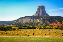 Devils Tower In The Fall With Hay Fields