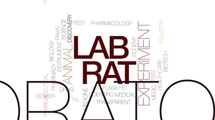 Poster - Lab rat animated word cloud, text design animation. Kinetic typography.