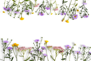 Wall Mural - Floral and plants on white background. Frame of flowers. March 8, mother's day background. Top view, flat lay. Composition of wild flowers. Flower pattern.