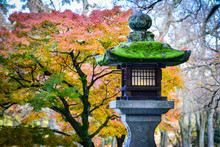 Autumn Scenery In Japanese Garden