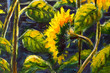 Sunflowers Acrylic, Oil painting Original handpainted art of sunflower flowers, beautiful gold sunflowers in sun flowers on canvas. Modern Impressionism.Impasto artwork.
