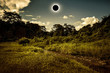 Scientific natural phenomenon. Total solar eclipse glowing on sky in forest.