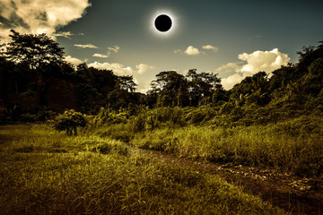 Wall Mural - Scientific natural phenomenon. Total solar eclipse glowing on sky in forest.