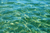 Fototapeta Morze - Kolorowe kamienie i fale w przeźroczystej wodzie morza, Śródziemnego.