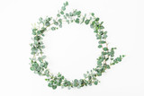 Fototapeta  - Floral round frame made of eucalyptus branches on white background. Flat lay, top view
