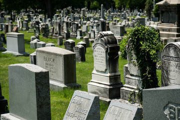 Rows of well kept grave stones in Rochester New York