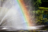 Fototapeta Tęcza - Colorful rainbow on the pond close up view