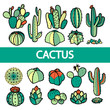 Set of isolated colorful cactus and succulents in black outline. Vector illustration.