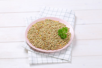 Poster - dry brown lentils