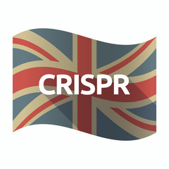 Sticker - Isolated UK flag with  the clustered regularly interspaced short palindromic repeats acromym CRISPR