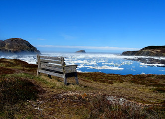 Wooden bank on coast with pack ice, Newfoundland, Canada