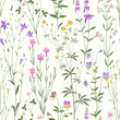 meadow flower pattern on white  background