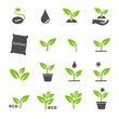 green plant and leave color icons set vector