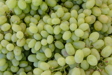 Piles Of Green Grapes At The Market