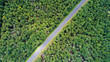 Photo aérienne d'une route dans la forêt de Chinon