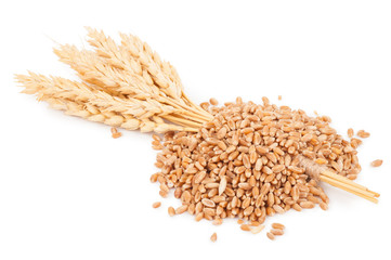 Poster - Ears of wheat and wheat grains