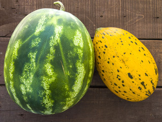 Wonderful melon and watermelon paintings on white background, indispensable juicy fruits of summer, melon and watermelon,
