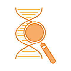 Poster - dna molecule with magnifying glass vector illustration design