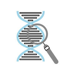 Wall Mural - dna molecule with magnifying glass vector illustration design