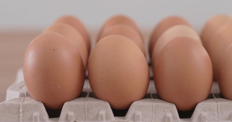 Poster - Pack of Eggs