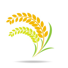 Rice organic Circle paddy grain products and healthy food design vector